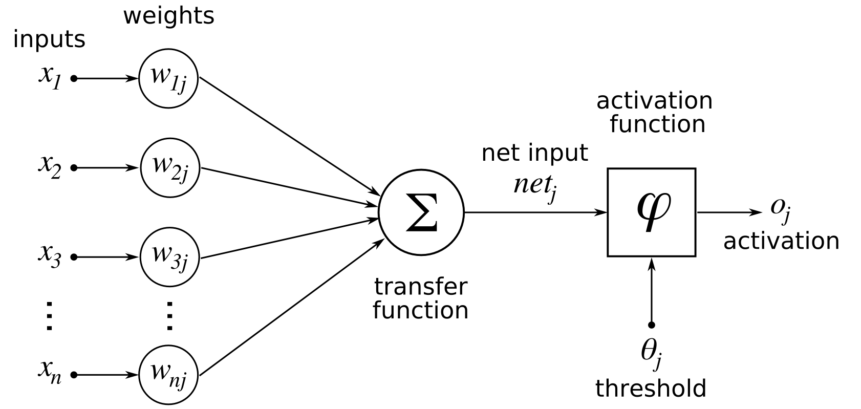 Perceptron Model in Neural Network